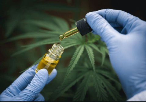 How Long Does Cbd Oil Stay in Your System