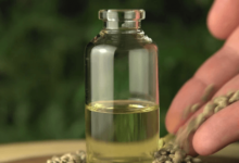 How to Extract Cbd