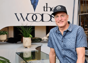 What are the Ingredients and Functions of Bioblend CBD Gummies?