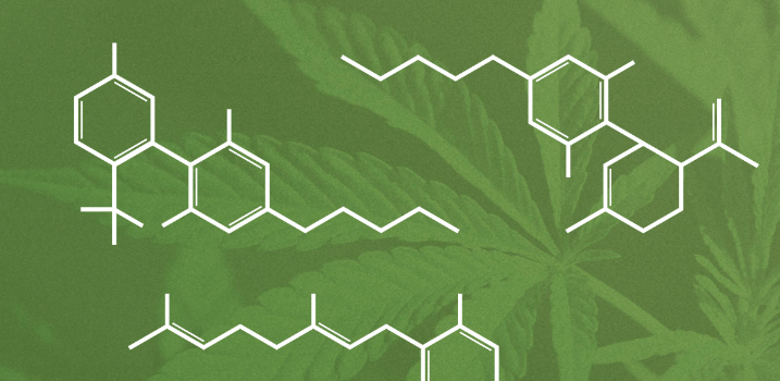 What Does Cbd Stand for in Medical Terms