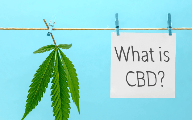  What Is Cbd
