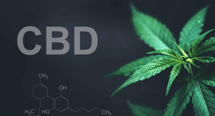 What Is Cbd