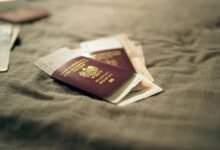 cbd and airport security