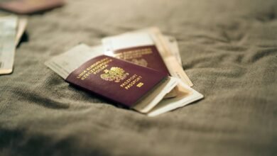 cbd and airport security