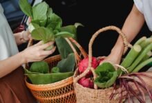 cbd consumption with food