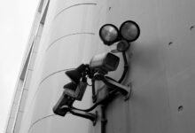 cbd detection duration explained