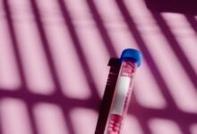 cbd dosage inquiry clarification