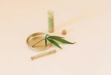 cbd for dog anxiety