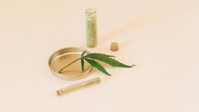 cbd for dog anxiety