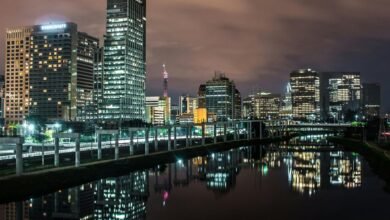 cbd legality in brazil