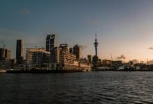 cbd legality in new zealand