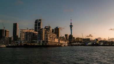 cbd legality in new zealand