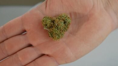 cbd related content inquiry