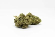 cbd vape oil testing