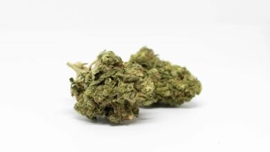 cbd vape oil testing