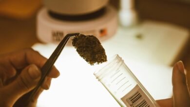 employers testing for cbd