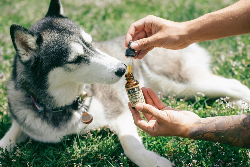 puppy cbd usage inquiry