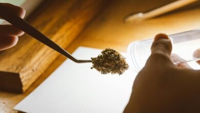 topical cbd drug testing