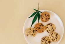 using cbd isolate effectively