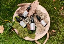 where to purchase cbd
