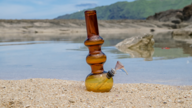 Key Differences Between Dab Rigs and Traditional Water Pipes