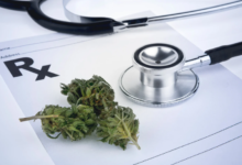 Understanding Terpenes and Their Role in Medical Cannabis Effects